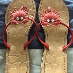 Coach crab sandals